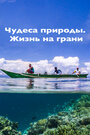 Смотреть Чудеса природы. Жизнь на грани на HDrezka онлайн в HD качестве 720p