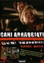 Смотреть Дикие псы на HDrezka онлайн в HD качестве 720p