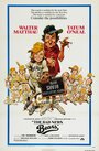Смотреть Несносные медведи на HDrezka онлайн в HD качестве 720p