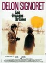 Смотреть Подозрение на хдрезка онлайн в HD качестве 720p