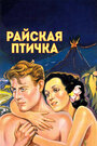 Смотреть Райская птичка онлайн в HD качестве 