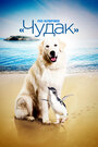 Смотреть По кличке «Чудак» на HDrezka онлайн в HD качестве 720p