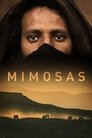 Смотреть Мимозы на HDrezka онлайн в HD качестве 720p