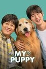 Смотреть Мой пёс Руни на HDrezka онлайн в HD качестве 720p