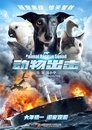 Смотреть Спасательный отряд животных на хдрезка онлайн в HD качестве 720p