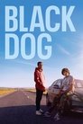 Смотреть Тоска на HDrezka онлайн в HD качестве 720p
