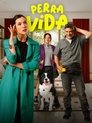 Смотреть Собачья жизнь на HDrezka онлайн в HD качестве 720p