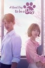 Смотреть Отличный день, чтобы стать собакой на HDrezka онлайн в HD качестве 720p